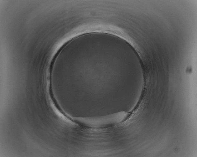 X0000091551515200708171255