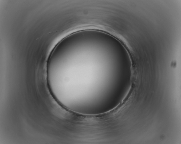 X0000091551516200708171255
