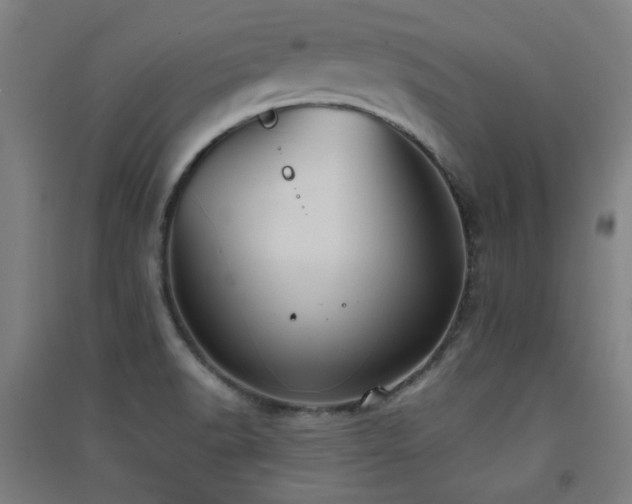 X0000091551518200708171255