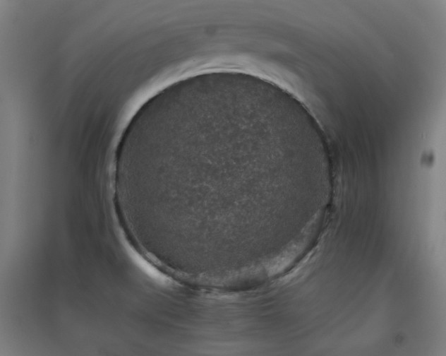 X0000091551519200708171255
