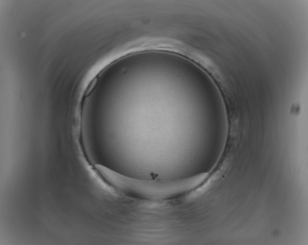 X0000091551520200708171255