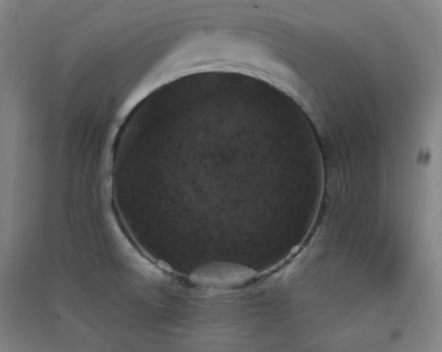X0000091551522200708171255