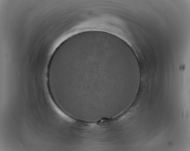 X0000091551523200708171255