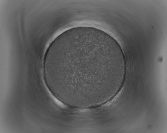 X0000091551525200708171255