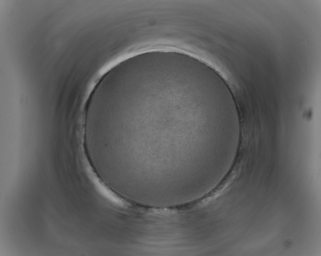 X0000091551526200708171255