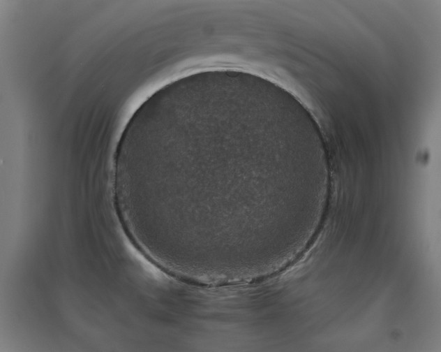 X0000091551527200708171255