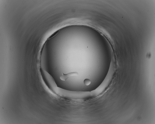 X0000091551528200708171255