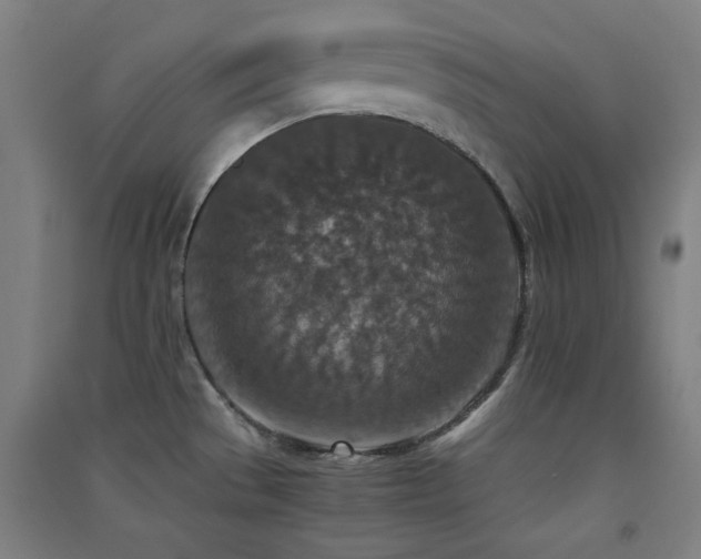 X0000091551529200708171255