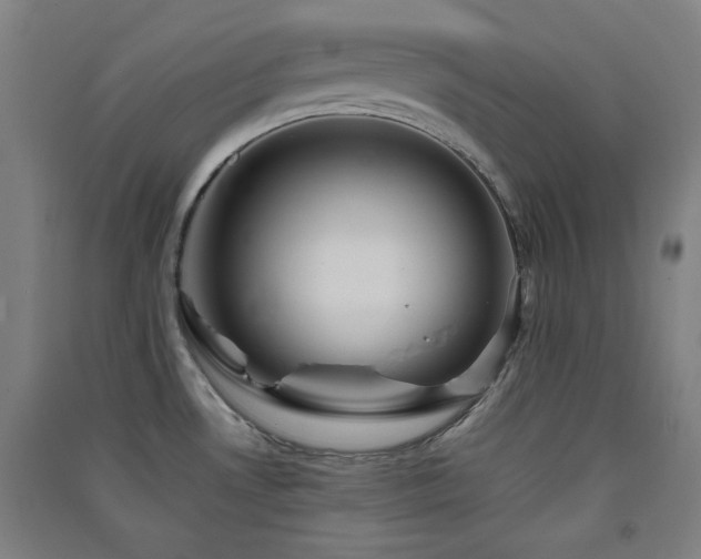 X0000091551530200708171255
