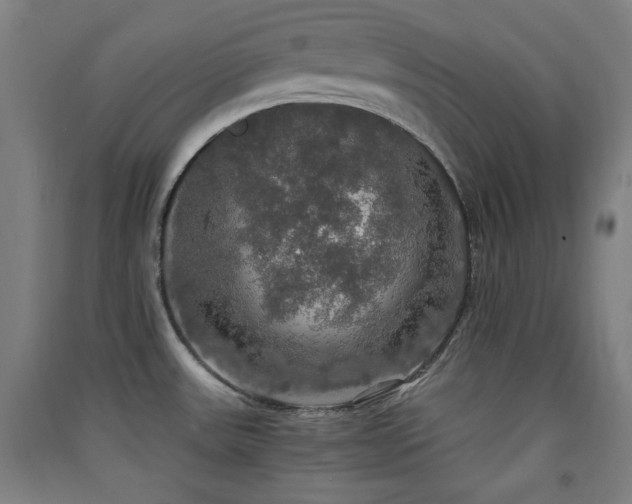 X0000091551531200708171255