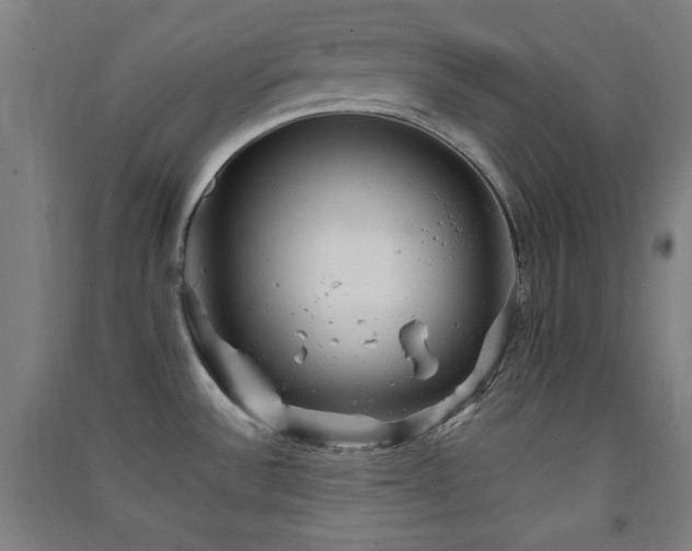 X0000091551532200708171255