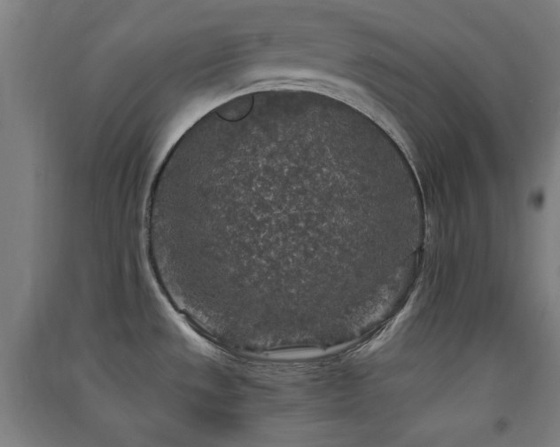 X0000091551533200708171256