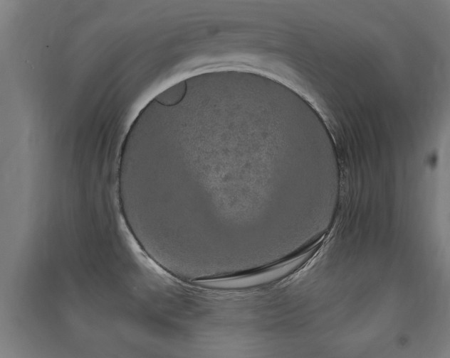 X0000091551534200708171256