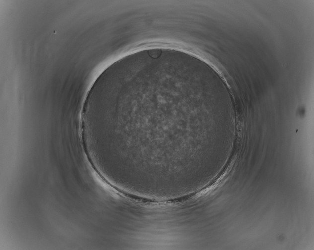 X0000091551535200708171256