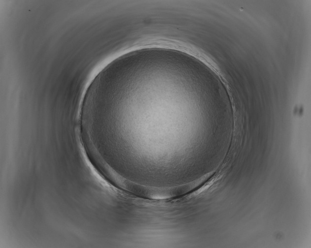X0000091551536200708171256