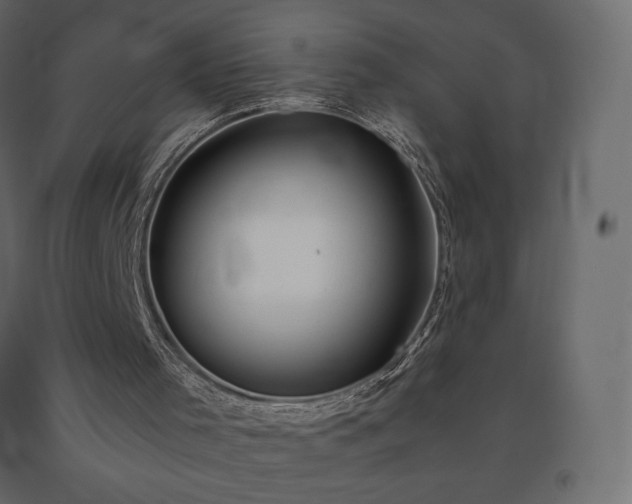 X0000091550001200708241805