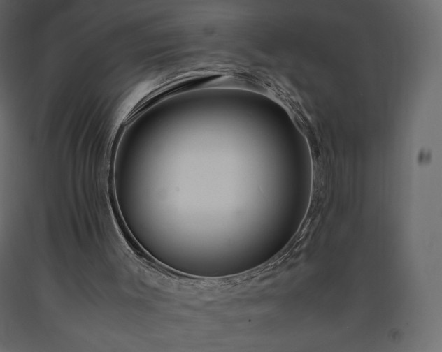 X0000091550003200708241805