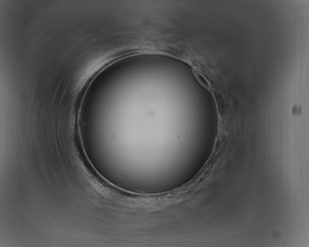 X0000091550005200708241805