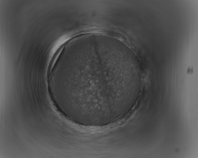 X0000091550006200708241805
