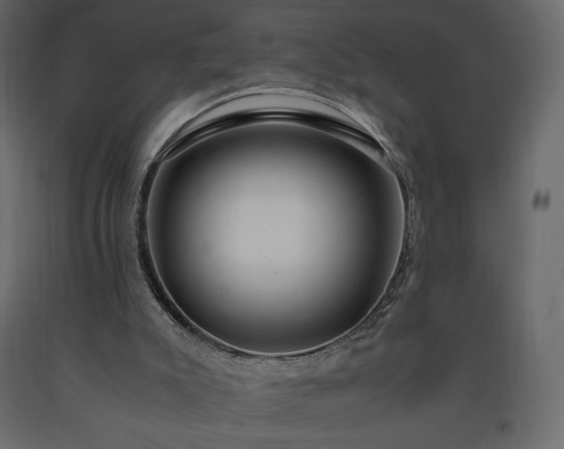 X0000091550007200708241805