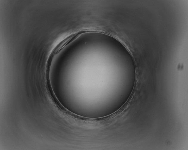 X0000091550008200708241805