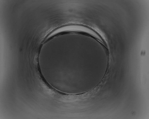 X0000091550009200708241805