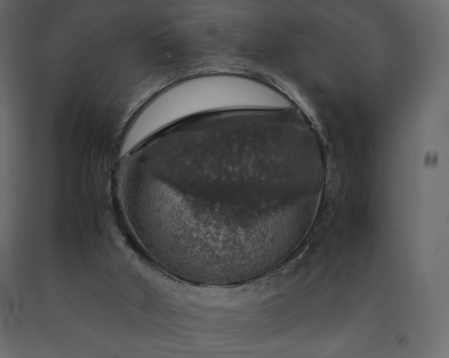 X0000091550010200708241805