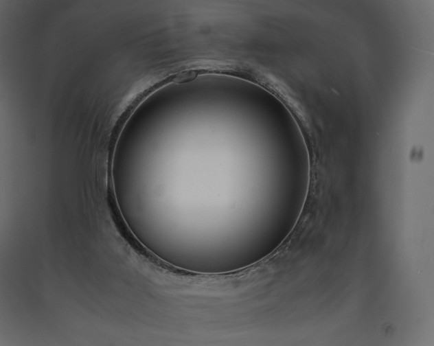 X0000091550011200708241805