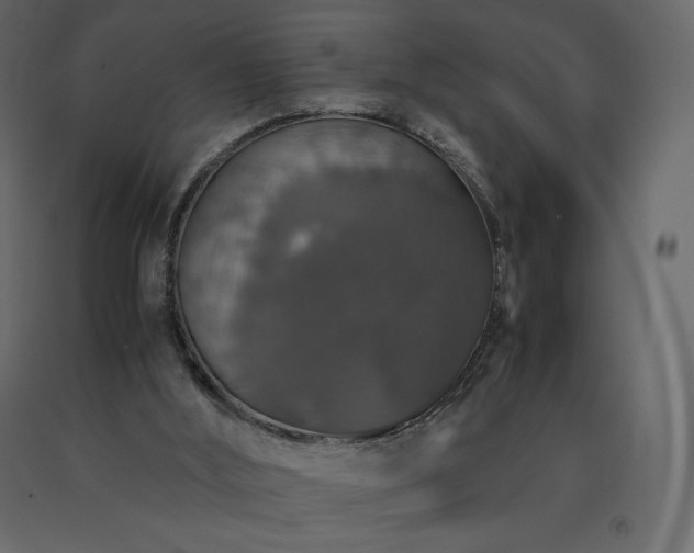 X0000091550012200708241805