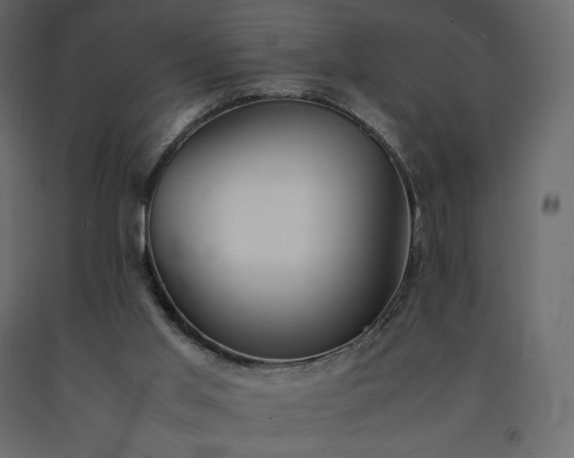 X0000091550013200708241805
