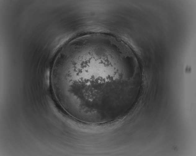 X0000091550014200708241804