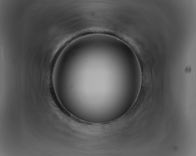 X0000091550015200708241804