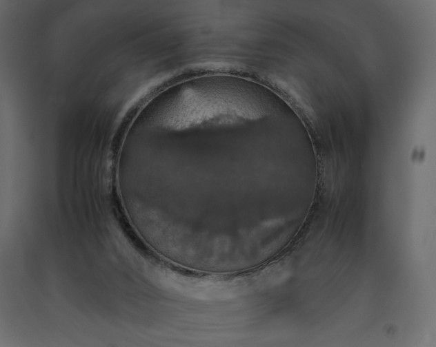 X0000091550016200708241804