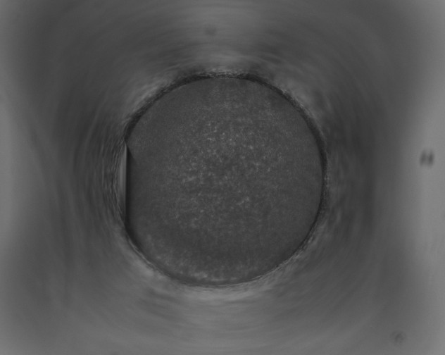 X0000091550017200708241804