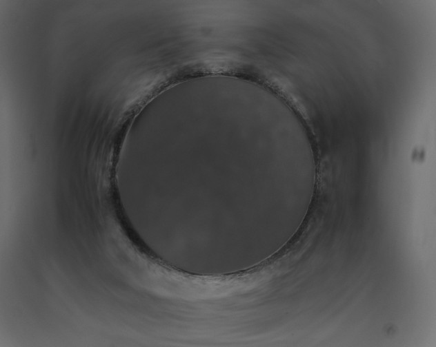 X0000091550018200708241804