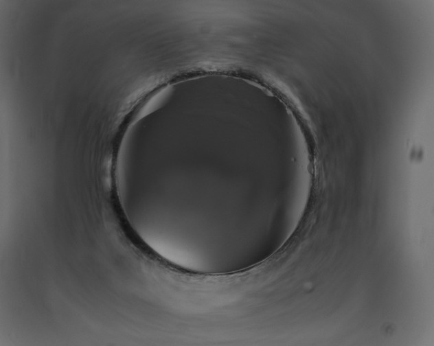 X0000091550019200708241804