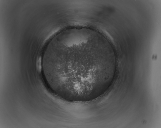 X0000091550020200708241804