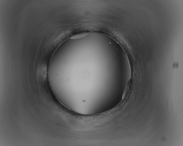 X0000091550021200708241804