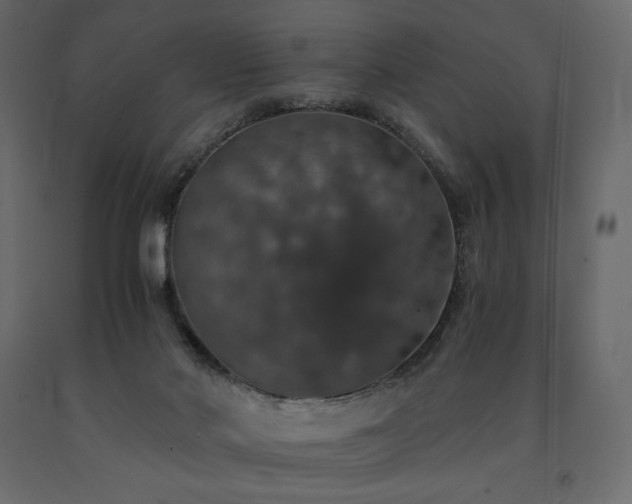 X0000091550022200708241804