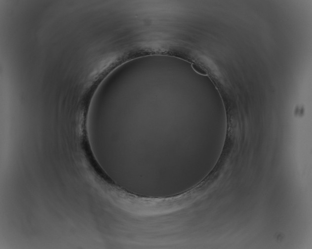 X0000091550023200708241804