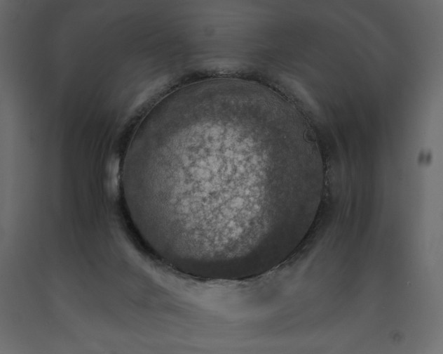 X0000091550024200708241804