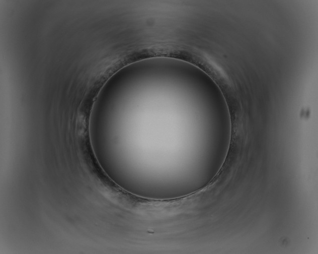 X0000091550025200708241804