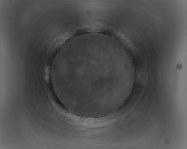 X0000091550026200708241804
