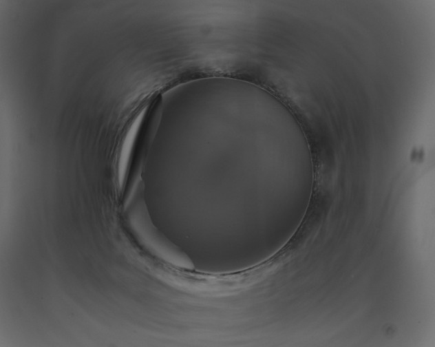 X0000091550027200708241804