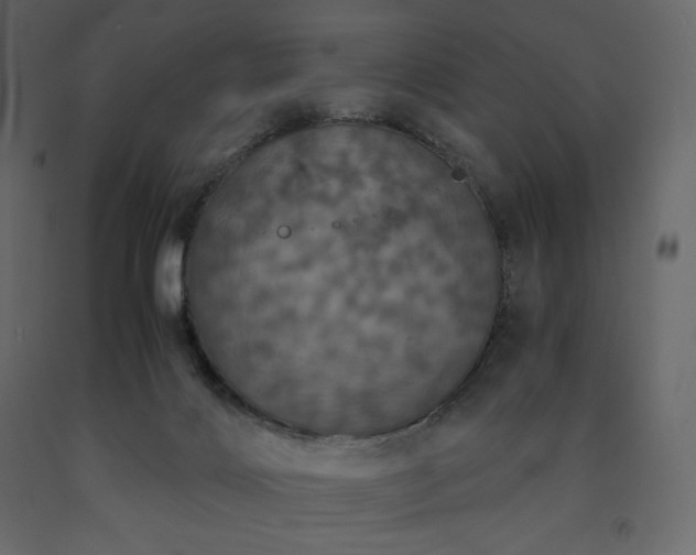 X0000091550028200708241804