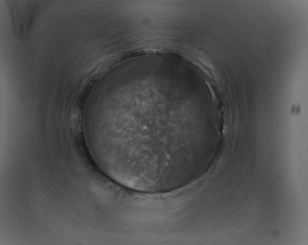 X0000091550029200708241804