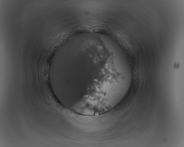 X0000091550030200708241804