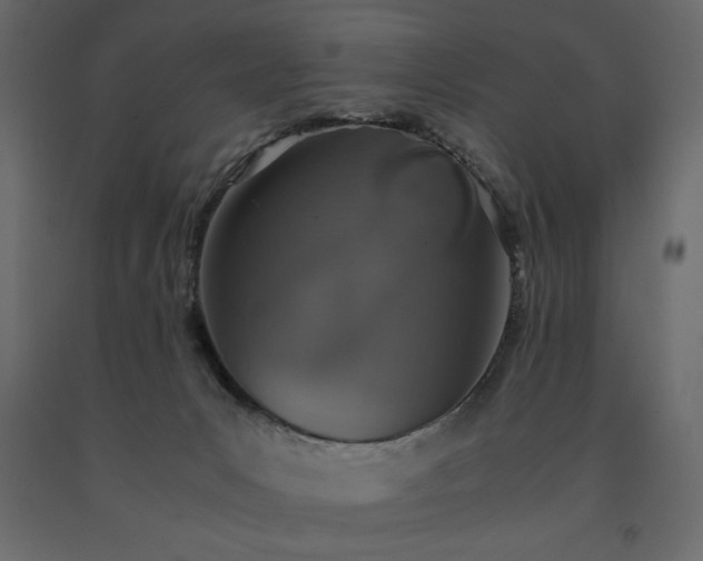 X0000091550031200708241804