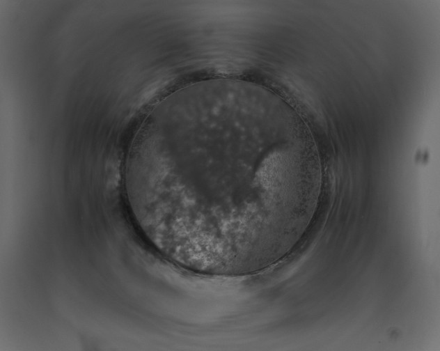 X0000091550032200708241804