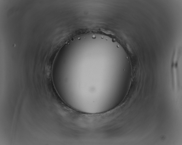 X0000091550033200708241804